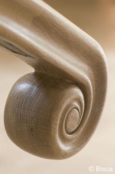 rams_horn_0