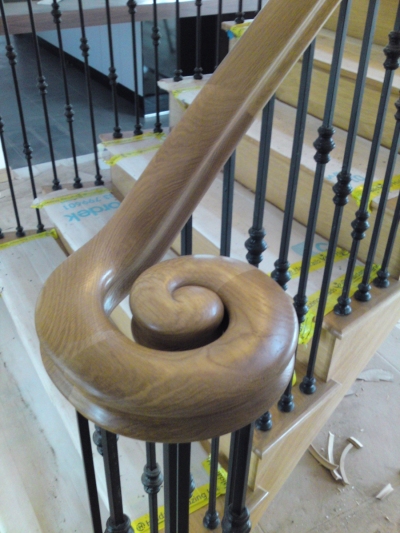 wreathed_open_volute_0